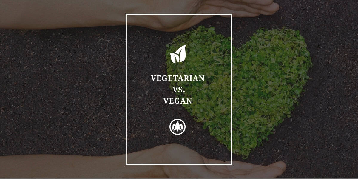 Vegetarian vs vegan